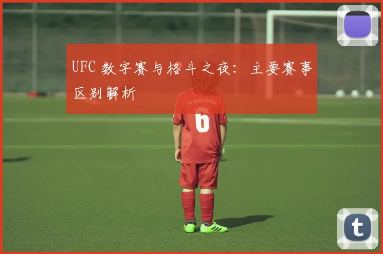 UFC 数字赛与格斗之夜：主要赛事区别解析