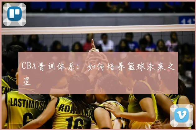 CBA青训体系：如何培养篮球未来之星