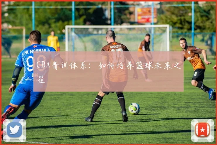 CBA青训体系：如何培养篮球未来之星