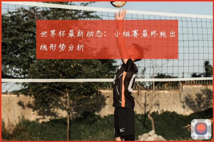 世界杯最新动态：小组赛最终轮出线形势分析