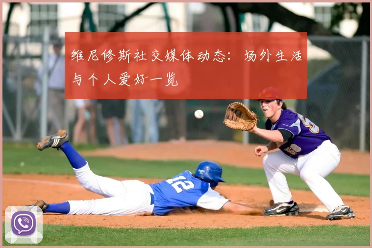 维尼修斯社交媒体动态：场外生活与个人爱好一览