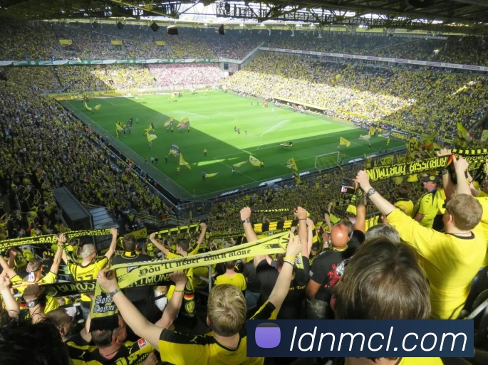 世界杯真钱开户品牌故事